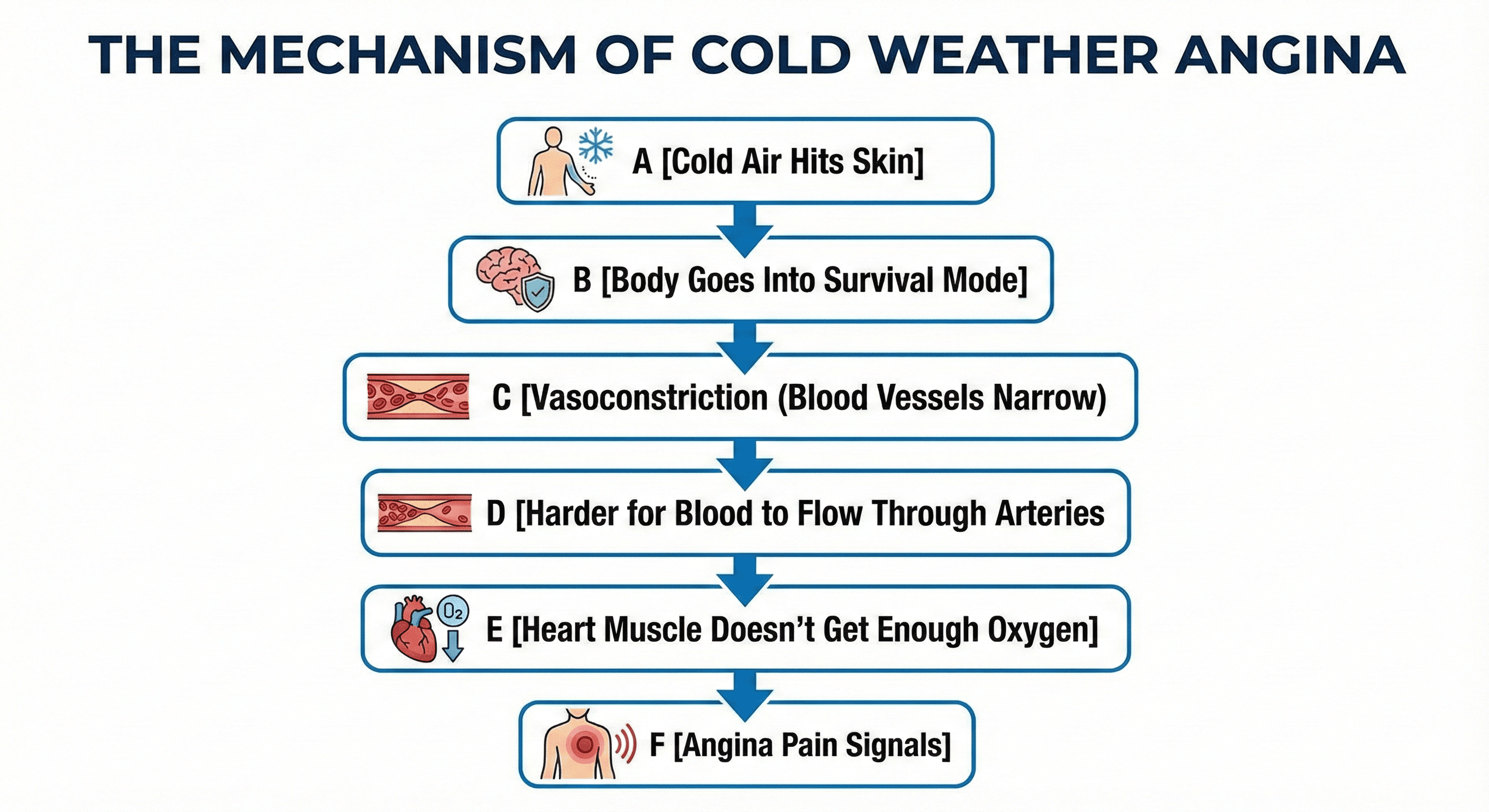 Why Angina Pain Gets Worse in Cold Weather