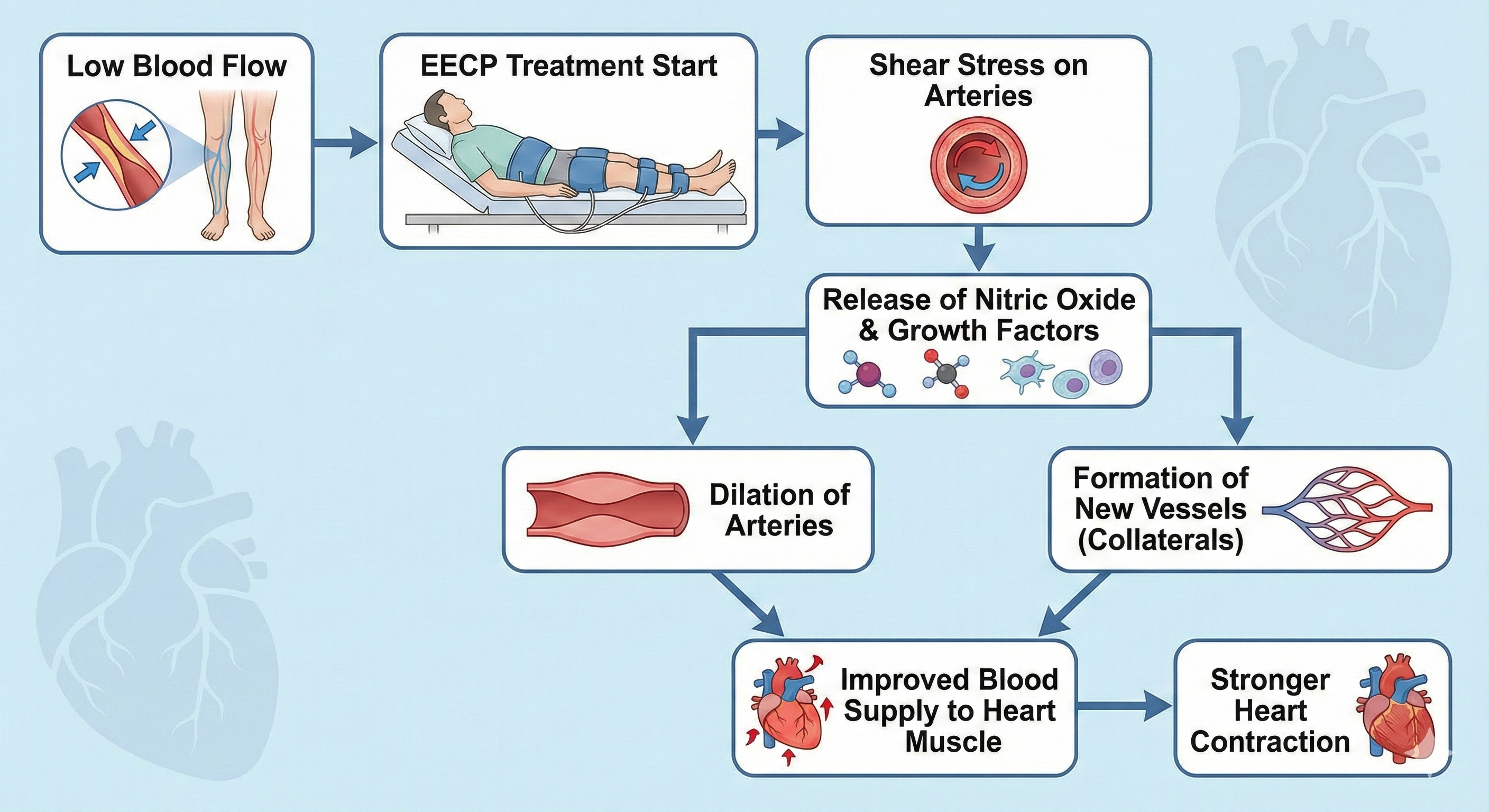 EECP Treatment for Cardiomyopathy flow chart